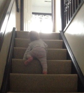 Why walk when you can CLIMB?